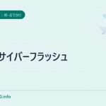 JMBサイバーフラッシュ