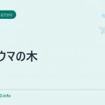 サマウマの木