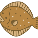 巨大ひらめ・おひょう
