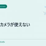 ビックカメラが使えない