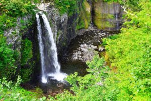 simaccessをさくらインターネット(サーバー)上のwordpressに導入(備忘録)