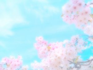 よく使うお勧め有料写真素材サイトと無料写真素材サイト