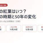 京都の紅葉はいつ？見頃の時期を気象庁の記録で確認【2026年】50年で10日遅く