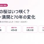 京都の桜はいつ咲く？開花日・満開日を気象庁の記録で確認【2026年】70年で9日早く