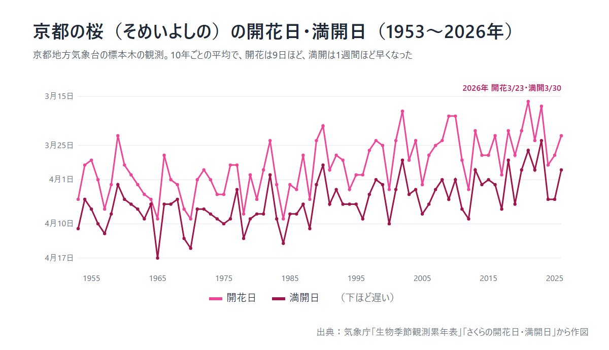 京都の桜(そめいよしの)の開花日・満開日の推移(1953〜2026年)気象庁の生物季節観測